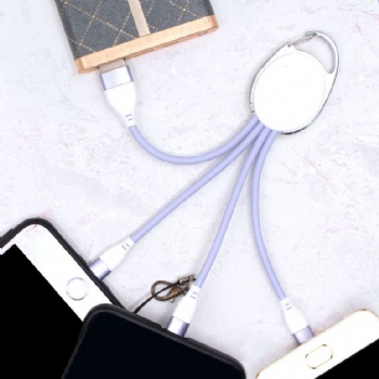 3 in 1 USB Charging Cable Keychain