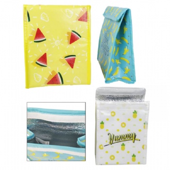 Full Color printed Non-Woven Cooler Insulated Lunch Bag