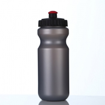 19 oz. Sport Water Bottle
